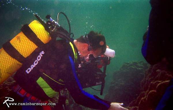 عکاسی زیر آب جزیره کیش سال ۲۰۰۰ - رامین برزگر