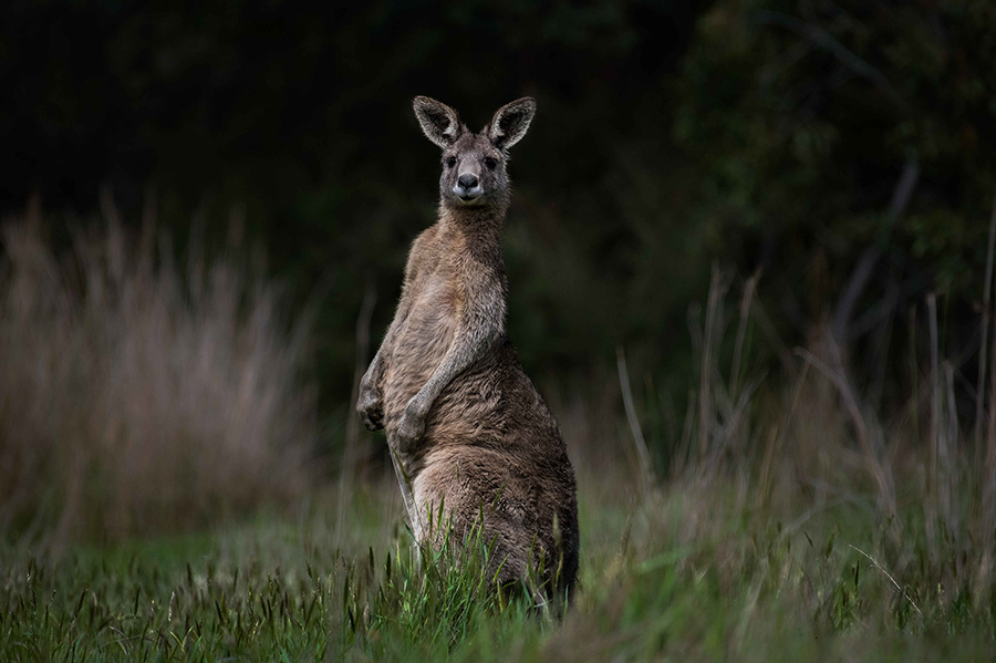 Melbourne, Australia